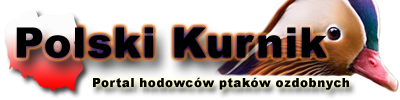 Polski Kurnik