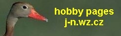 Hodowla Czechy J. Nemec